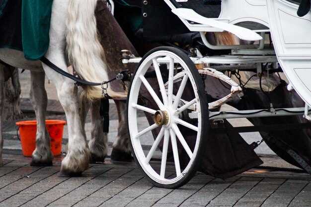 Best rim types for competitive riding